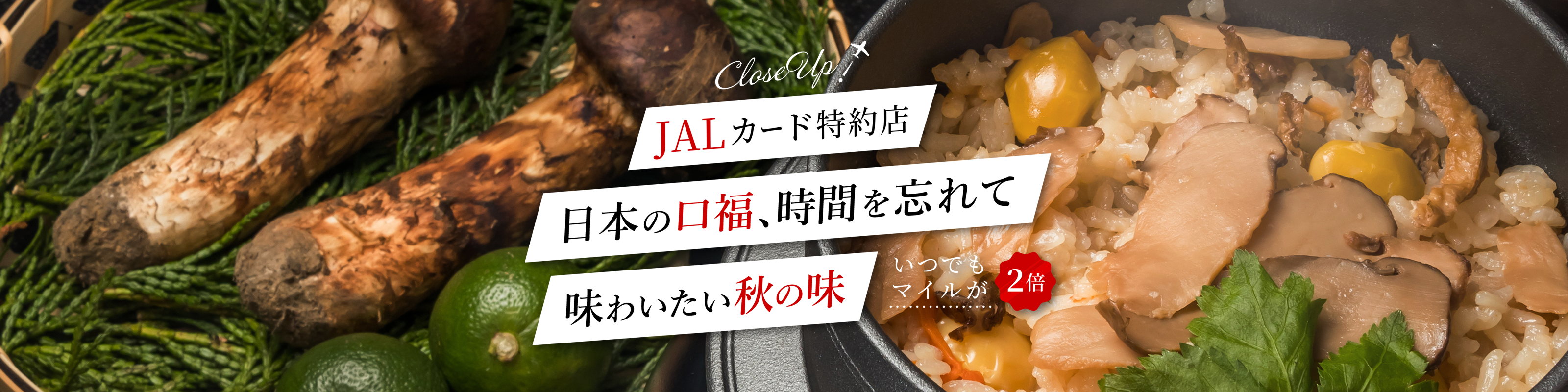 JALカード特約店　部屋や湯船から眺める景色が自慢の絶景宿　いつでもマイルが２倍